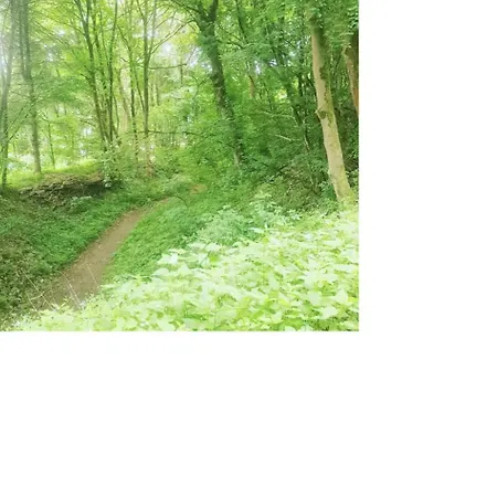 Kuscheliges Mini-vintage-zimmer Pensionat *