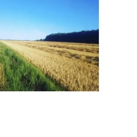 Kuscheliges Mini-vintage-zimmer *