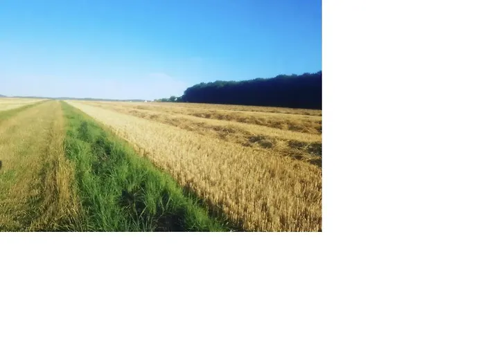 Kuscheliges Mini-vintage-zimmer *