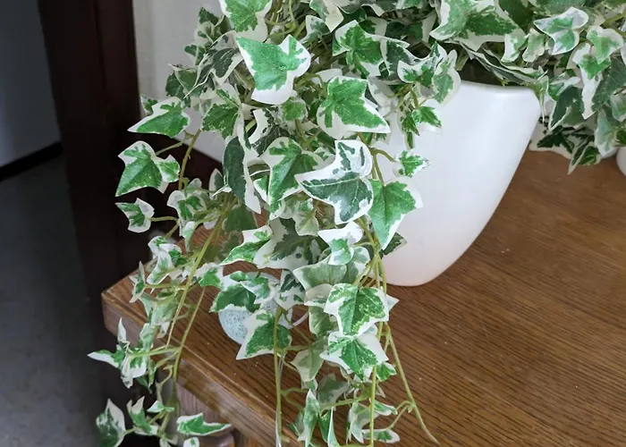 ゲストハウス Kuscheliges Mini-vintage-zimmer *